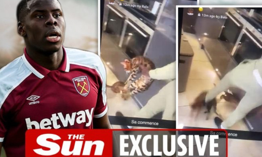 Pour que Kurt Zouma, auteur d'actes cruels sur ses chats rende des comptes devant la justice