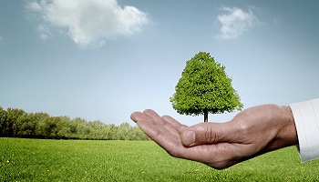 Une mobilisation mondiale