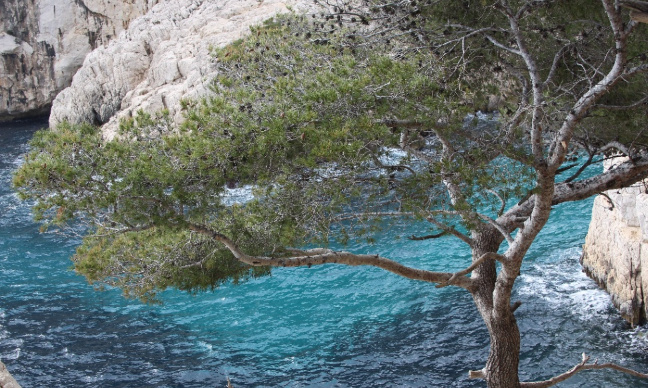 Non aux restrictions d’accès à la Calanque de Sugiton !