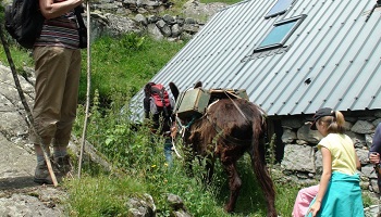 Sauver la Ferme des Cascades