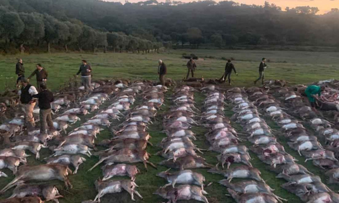 Stop au lobby de la chasse !