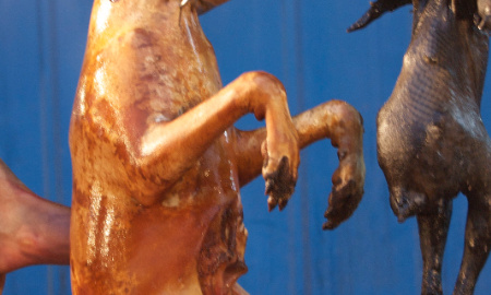 STOP à la cruauté animale : Pour l'arrêt de la fête de la viande de chien à Yulin !