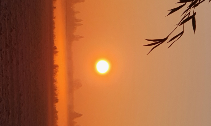 Pour la paix dans le monde