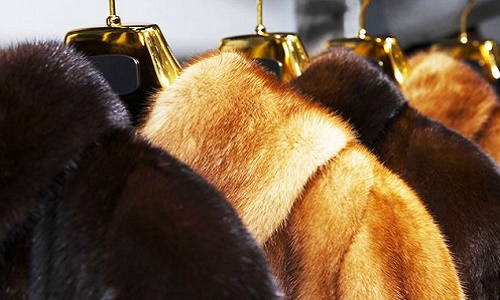 Interdire la fourrure