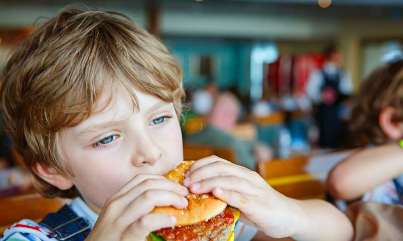 Non au lobbying de la viande dans nos écoles !