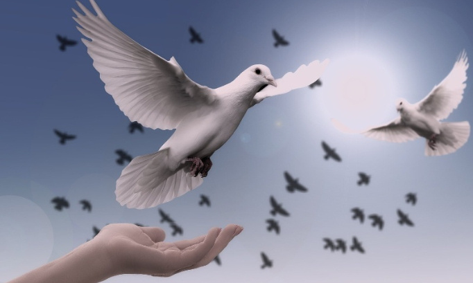 Urgence pour la Paix dans le monde