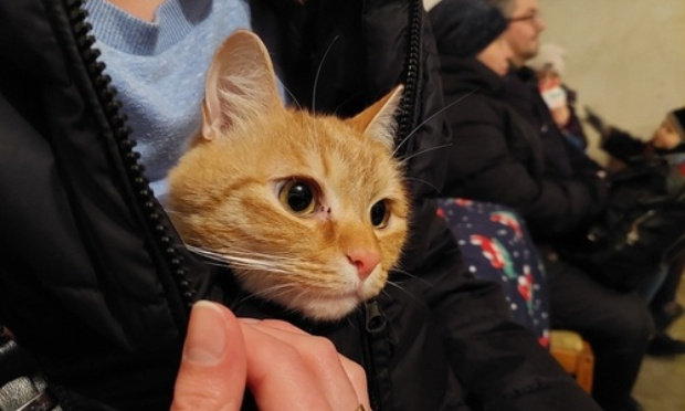 Solidarité Ukraine : 