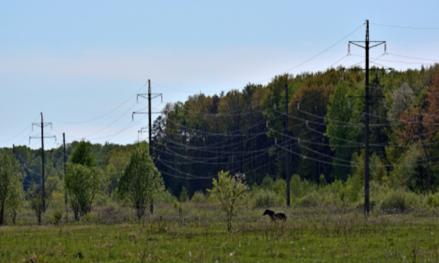 Dégradation du paysage : Pour l'enfouissement des lignes de fibre optiques !