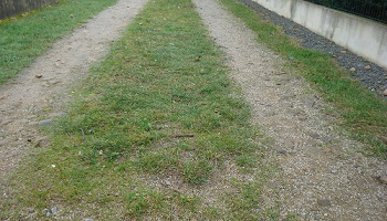 La vente de deux chemins communaux