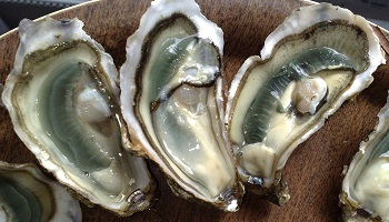 Affichage du type d'huîtres