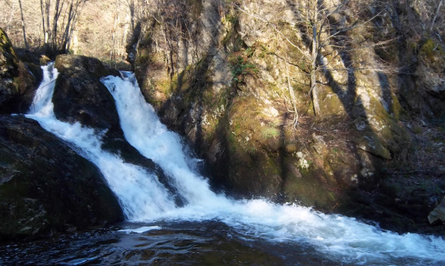 Laissons chanter la Credogne ! Non au projet privé de micro-centrale hydro-électrique!