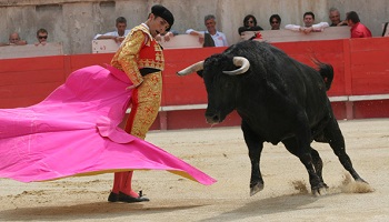 PACA contre la corrida
