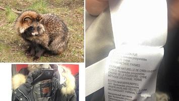 Sport 2000 arrêtez l'achat de vraies fourrures !