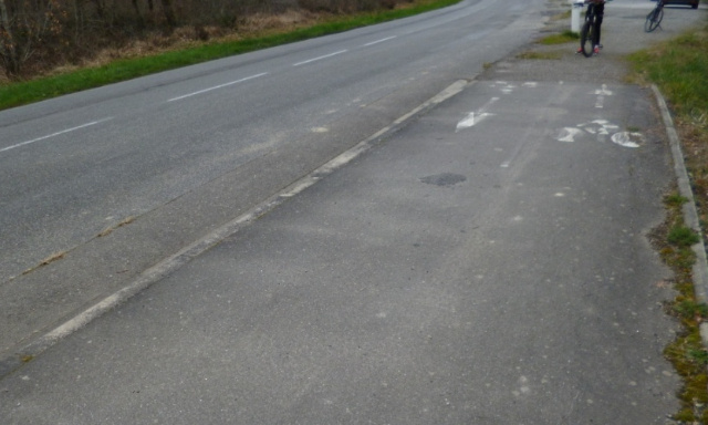 Pour l'installation couloirs cyclables et passages piétons de la RD 42 en forêt de Bouconne