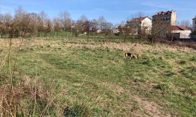 Pour la mise en valeur du parc du Pré-aux-Boeufs pour l'accueil d'une association des maîtres d'animaux