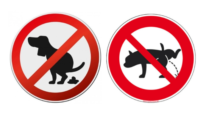 Pour que les locataires ayant un chien mettent en place un un protocole de nettoyage approprié dans les parties communes