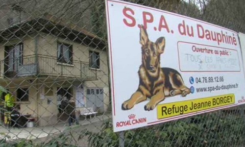 Pour que la métropole donne cette année aussi la subvention de 50.000€ à la SPA du Dauphiné