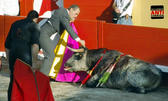 Stop à la corrida dans les derniers départements de France