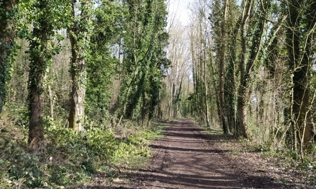 Non au bitumage du chemin vert du Petit Caux