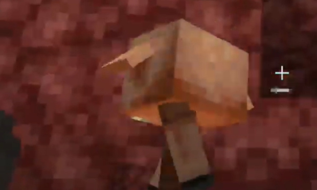 Laylo a tu&eacute; sans aucune raison un petit piglin, devant un live de plus de 1000 viewers