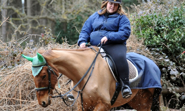 Pour la protection des chevaux et l'interdiction de monter sur un cheval au delà de 85 kilos