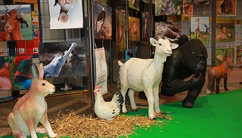 Pour l'interdiction des animaux dans toutes les prestations