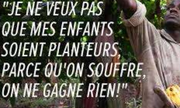 Pour une l'utilisation égalitaire et communautaire de la subvention de la covid-19 aux cacaoculteurs de côte d'ivoire