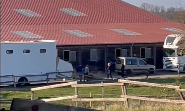 Pour des sanctions contre la cavalière qui a maltraité un cheval