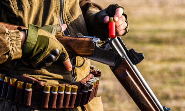 Pour l'interdiction graduelle de la chasse en France
