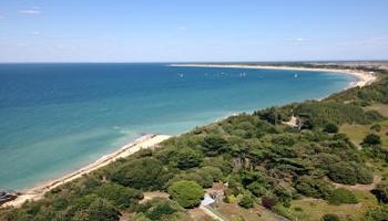 Protéger les espèces animales avant qu'il ne soit trop tard