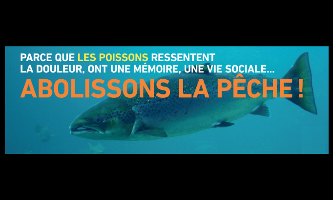 En finir avec la pêche, le plus grand des massacres.