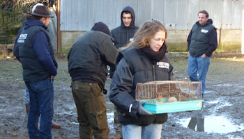 Une sanction exemplaire pour la propriétaire de la ferme de l'horreur