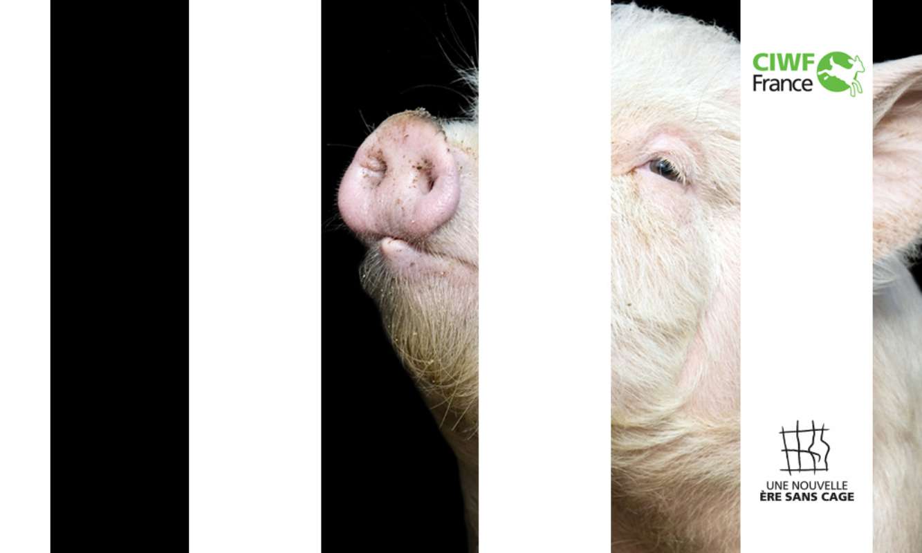 Avec nous, l'élevage sera sans cage !