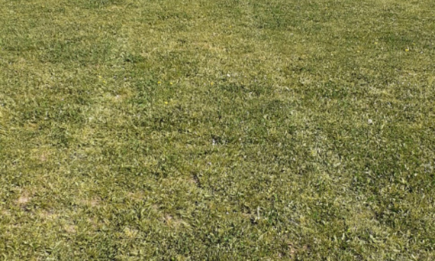 Non à l'abandon du complexe sportif de football de Ternay par nos élus locaux