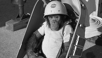 Interdire l'envoi de singes dans l'espace