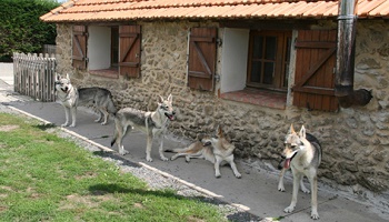 Pouvoir faire mon métier d'éleveur
