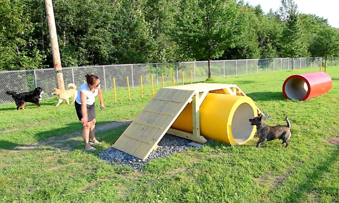 Création d'un parc canin à Tarare