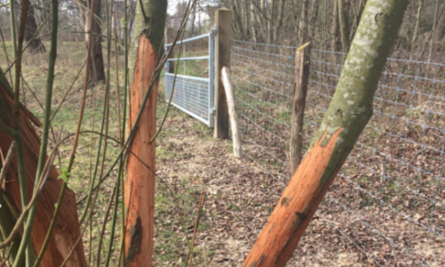 Pour une gestion différente du Kauwberg