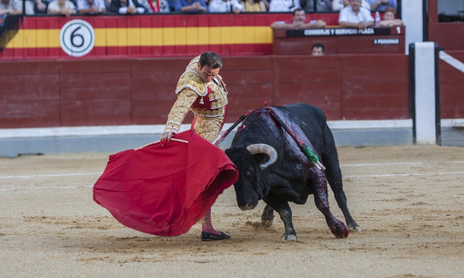 Dites stop à la corrida !