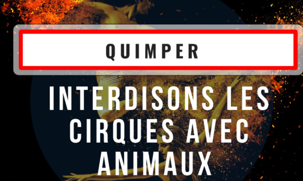 Quimper POUR des Cirques sans animaux (Domestiques et Sauvages)