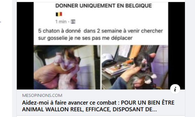 Pour des moyens suffisants en personnel et en argent pour le bien-être animal Wallon !