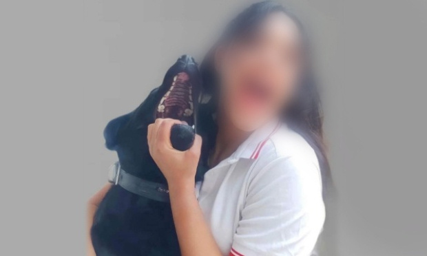 Justice pour ce pauvre chat tué par un chien sous l'ordre de sa propriétaire !