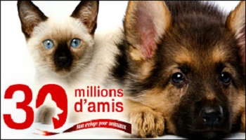 Sauvons 30 Millions d'Amis sur FR 3