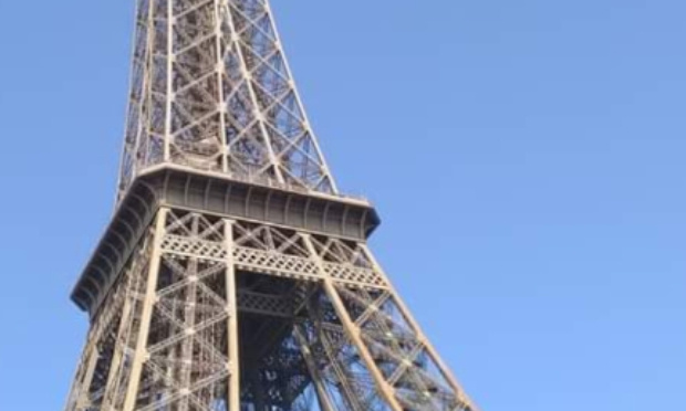 Moratoire concernant les arbres du Champs de Mars