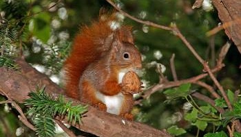 Maintien de 30 Millions d'Amis avec des horaires compatibles pour les enfants