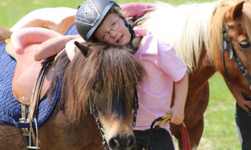 Soutien à « animaponey » et « anim poney star » professionnels équestres responsables des promenades à Poney dans Paris
