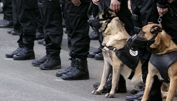 Légion d'honneur pour le chien DIESEL du RAID qui a laissé sa vie pour en sauver d'autres