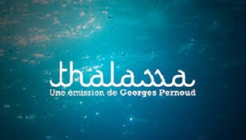 Pour le maintien de la fréquence de diffusion hebdomadaire de Thalassa