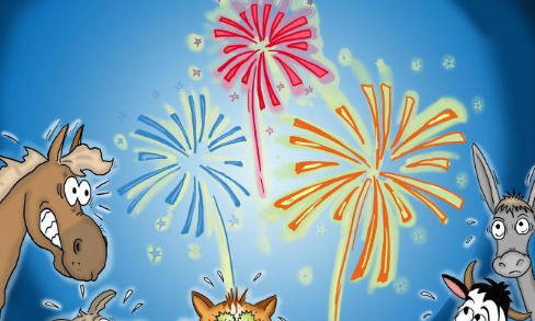 Bien être animal : pour l'interdiction des feux d'artifice privés sur la commune d'Arlon