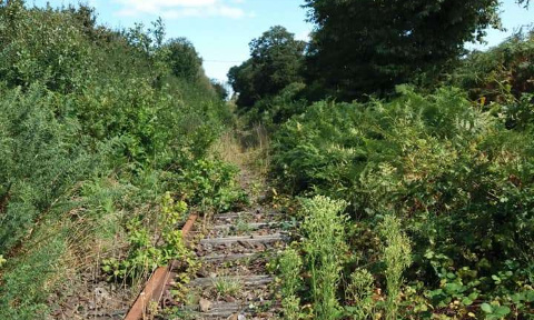 Pour une Voie Verte Roscoff - Morlaix en remplacement du Train